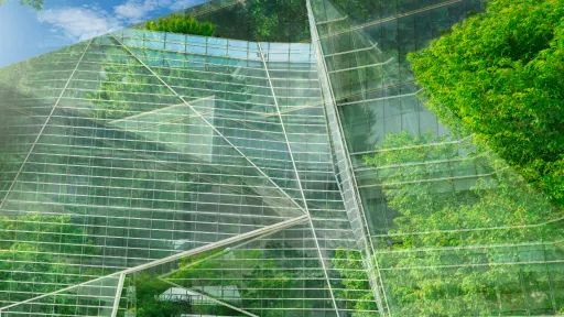 building and trees