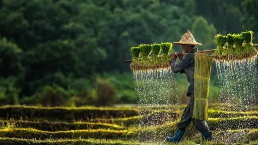 AFC Agriculture