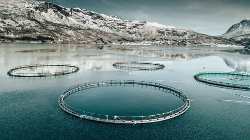 P&ecirc;che et aquaculture