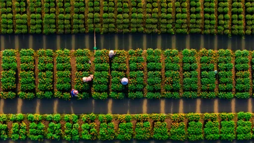 Irrigation Management