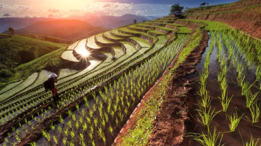 Agriculture & Food Systems
