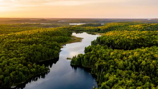 Land & Water Management