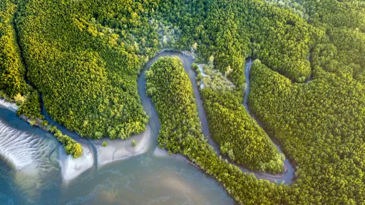 Marine and coastal eco-systems