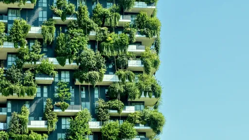 Climate Adaptation, Mitigation & Decarbonisation