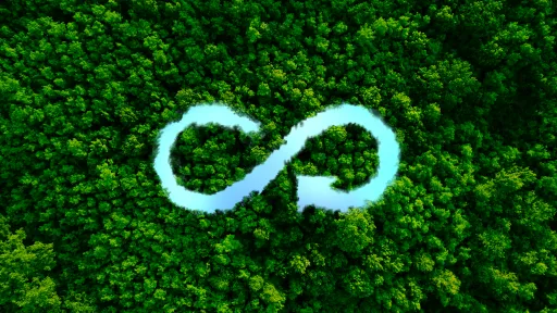 Circular Economy