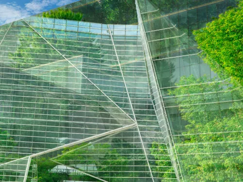 building and trees