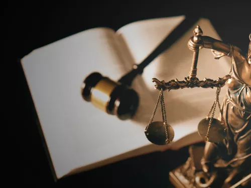 judiciary