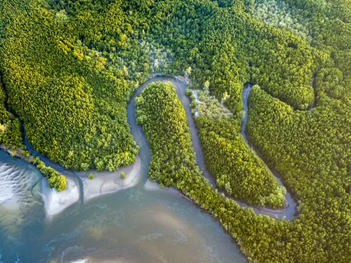Marine and coastal eco-systems