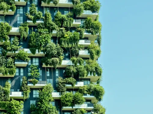 Climate Adaptation, Mitigation & Decarbonisation
