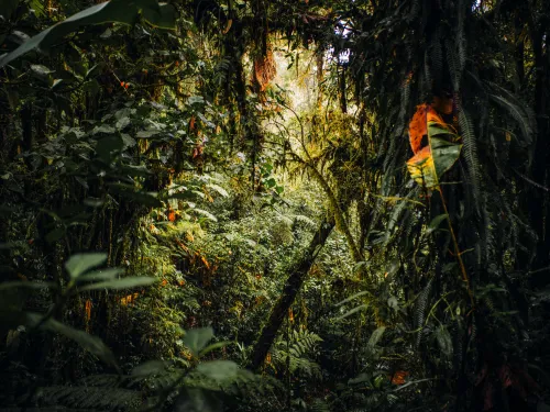 Natural Resources & Environment